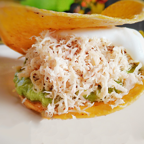 Tostada Mini Especial